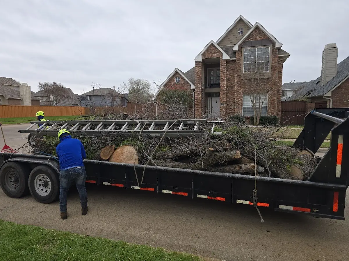 Expert Tree Removal with proper safety equipment in Centerport